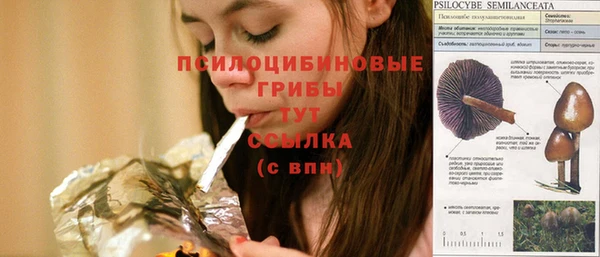 COCAINE Вяземский